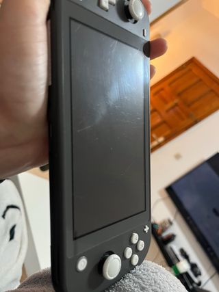 Nintendo Switch Lite Gris