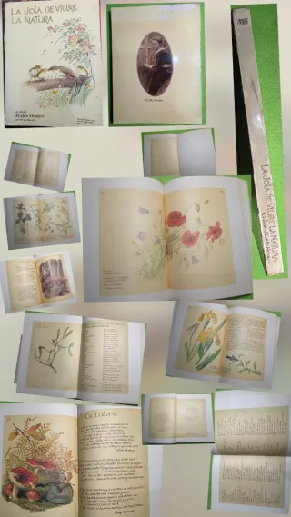 Libros varios. Precios en la descripcion.