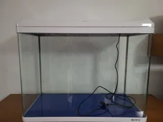 Acuario BOYU