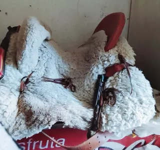 Montura Mixta Vaquera y Cabezadas