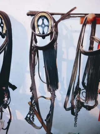 Montura Mixta Vaquera y Cabezadas