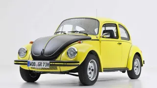 Aletas y puertas VW 1303