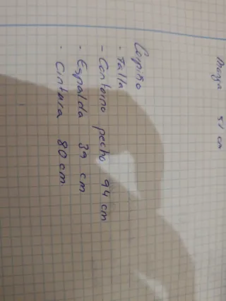 Corpiño Fallera Vino Bordado Plata