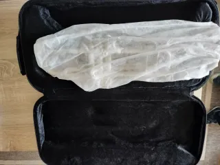 Trompeta Bach TR500s Si Bemol