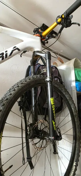 Berria Bravo Carbono MTB