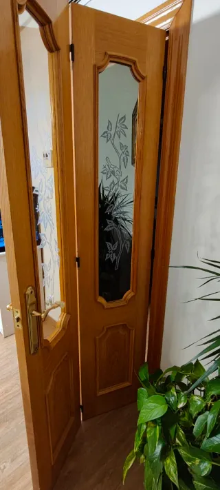 Puerta de salón de madera con cristal