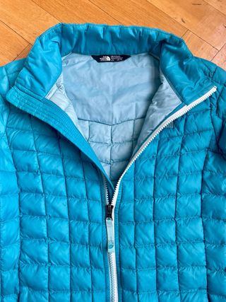 Chaqueta The North Face azul