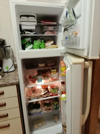 Nevera LG Express Cool Blanca