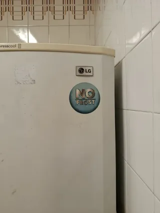 Nevera LG Express Cool Blanca