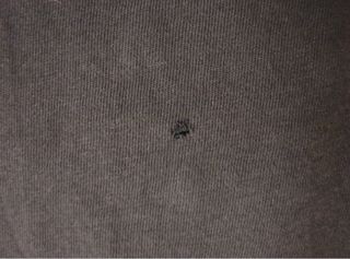 Camiseta Stranger Things Talla M