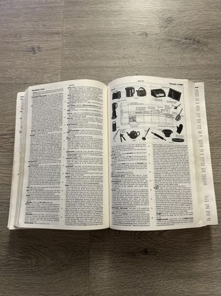 Cambridge International Dictionary of English