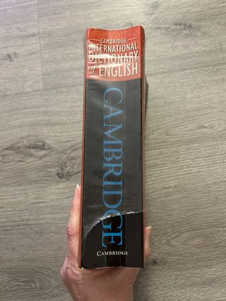 Cambridge International Dictionary of English
