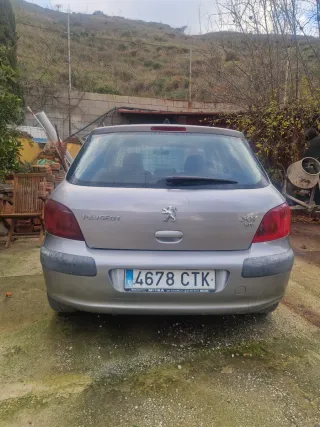 Peugeot 307 2004