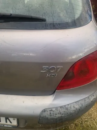 Peugeot 307 2004