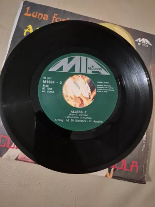 Disco 45 giri I COMPAGNI DI SCUOLA 1984