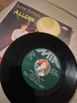 Disco 45 giri I COMPAGNI DI SCUOLA 1984