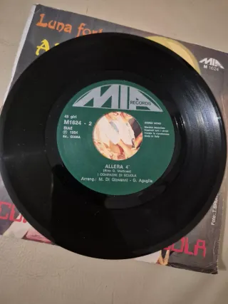 Disco 45 giri I COMPAGNI DI SCUOLA 1984