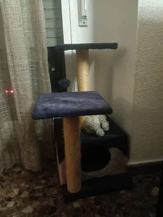 Rascador para gatos con varias alturas
