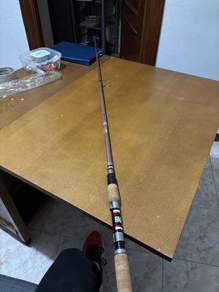Caña de pescar Vintage Fario T 205