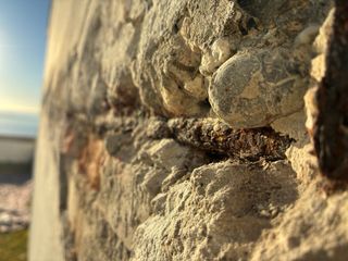 Rehabilitación de fachada por filtración