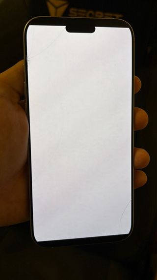 iPhone 16 Pro Max 256 GB Blanco