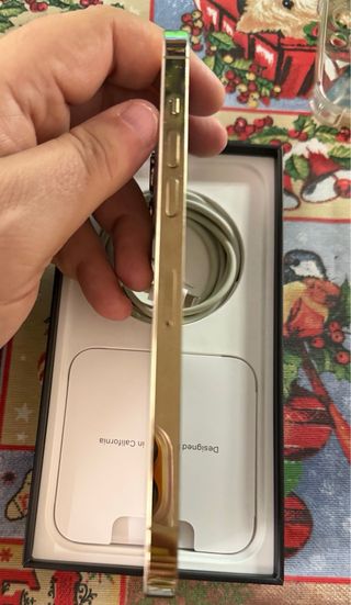 iPhone 12 Pro Max Dorado 128GB