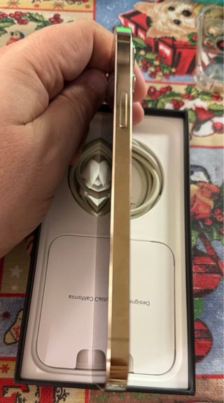 iPhone 12 Pro Max Dorado 128GB