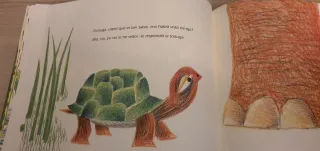 El elefante que perdió su ojo