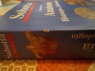 Sobotta Mini Esquemas de Anatomía