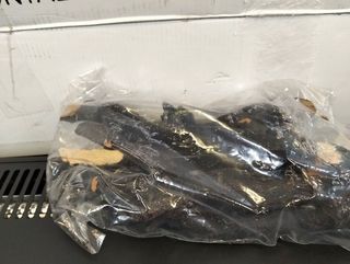 Chimenea eléctrica de acero y cristal Arkansas