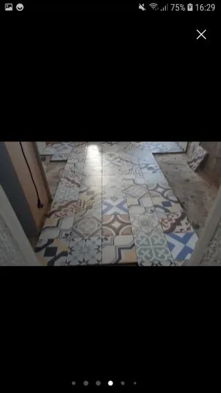 Se ofrece paleta económico más de 30añ esperiencia