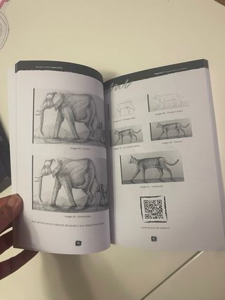 Aprender a dibujar como un Pro: La guía de dibu...