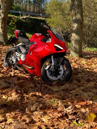 Ducati Panigale V2 Roja