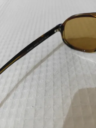 Gafas de Sol Emporio Armani Marrones