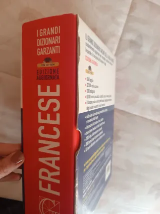 Dizionario di francese