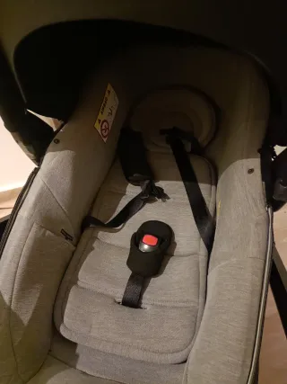 Carro Jane Mumm Matrix