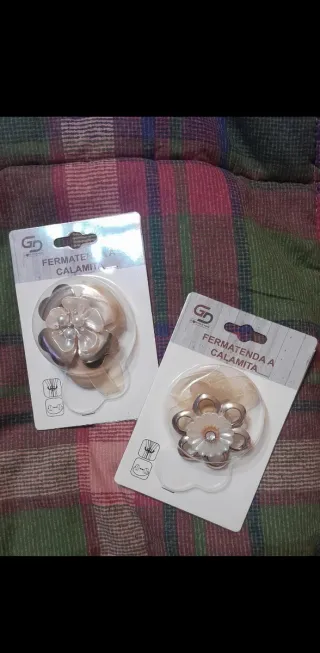 Fermatenda calamita GD