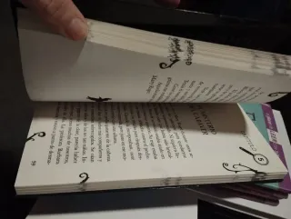 El joven Poe: El extraño crimen de Mary Roget (...