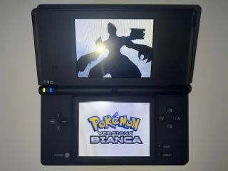 Pokémon Bianco e Nero DS Cartucce