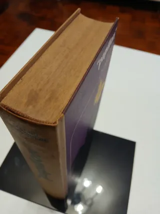 Papillon Henri Charriere Libro