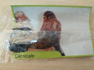 Lote 7 Figuras Fauna Canaria