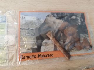 Lote 7 Figuras Fauna Canaria