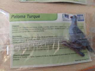 Lote 7 Figuras Fauna Canaria