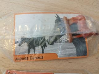 Lote 7 Figuras Fauna Canaria