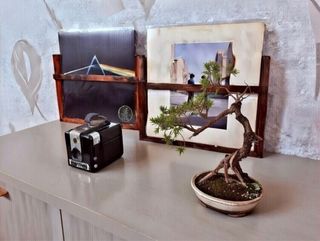 Elegante expositor de madera para discos de vinilo