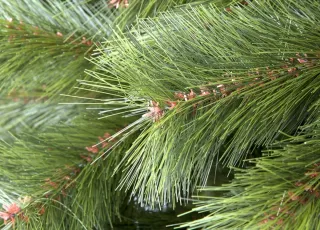 Árbol de Navidad 1.50 + luces led 10 m.