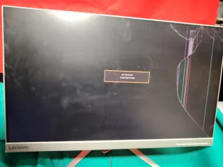 Monitor Lenovo L24q-10