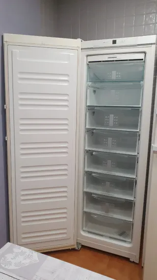 Congelador Liebherr SGN 3010 No Frost