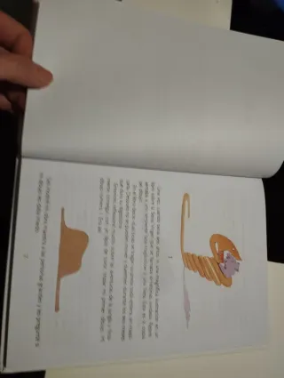 El Principito / The Little Prince (Spanish Edit...