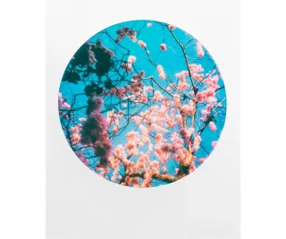 Película instantánea Polaroid Originals Film 600